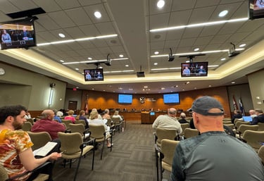 Photo from the back of City Council of the audience