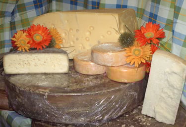 a variety of cheeses and cheeses on a table