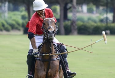 Polo British Sport of Nobles