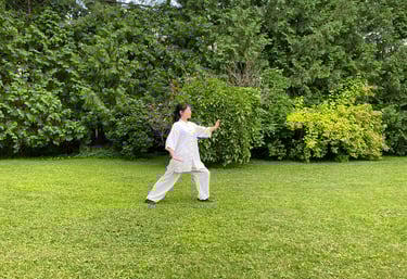 Tai Chi Introductory Class - Yang style 24 Forms