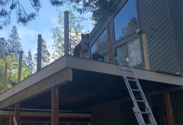 Our 4 Legged superintendent on a second story deck