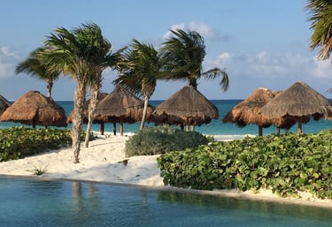 a beach with palm trees and a pool