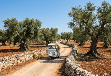 ape calessino and puglia country side road