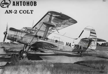 Dessin réaliste en noir et blanc de l'avion AN-2 Colt