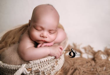 newborn photography bexley