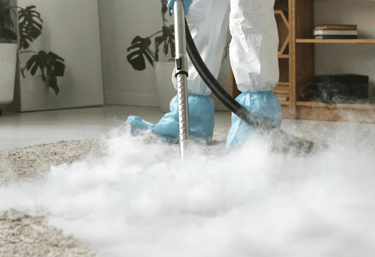 Image of a deep domestic carpet clean