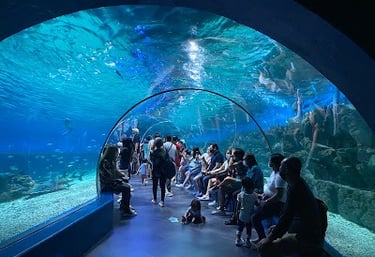 a group of people standing in front of a large aquarium