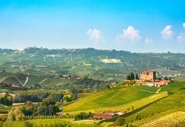 Castle of Grinzane Cavour surrounded by vineyards in the Langhe hills near Alba, Piedmont, Italy, a UNESCO World Heritage win
