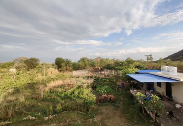 Satvik permaculture farm top view in Udaipur