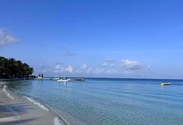 disfrura de nuestras playas de west bay