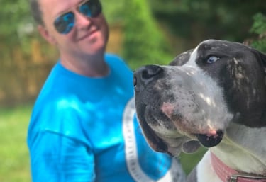 a woman in a blue shirt and sunglasses is holding a dog