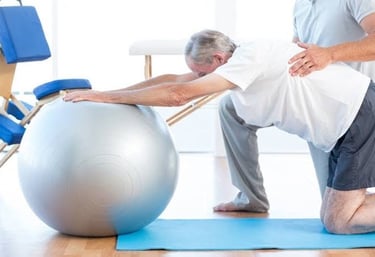 Geriatric physiotherapy at home improves mobility and strength
