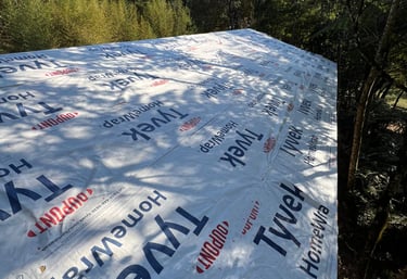 Identificação precoce de riscos em telhado shingle