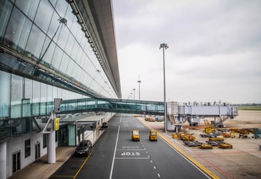 Airport, air freight, excess baggage, customs clearance, quarantine clearance, biosecurity clearance