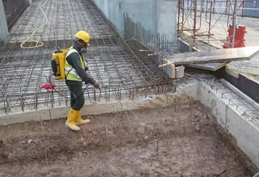 Anti Termite Pest Control Service