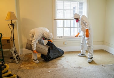 Asbestos Removal