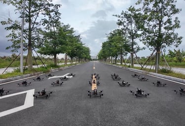 Swarm Coordination