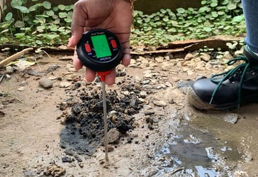 a person holding a cell phone in their hand