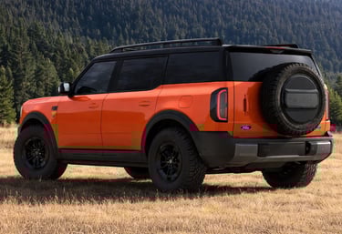 ford bronco suv laranja traseira sem placa em campo aberto com fundo de floresta