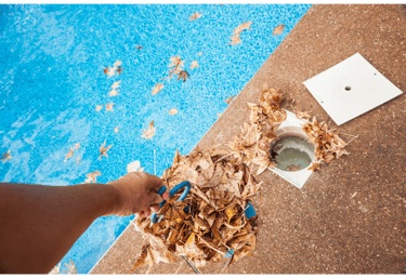 A pool tech is clearing leaves and debris from the pool equipment