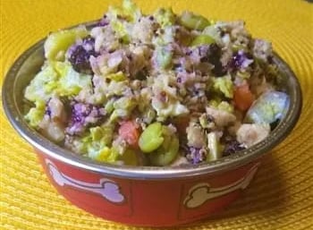 maltipoo-home-cooking