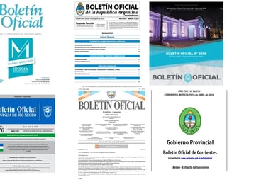 Boletines Oficiales publicar online 