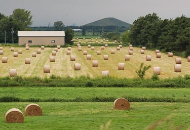 silage bale net wrap suppliers