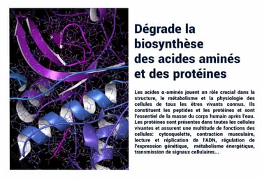 PESTICIDES DEGRADE ACIDES AMINES PROTÉINES