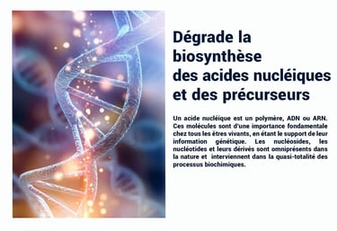 PESTICIDES DEGRADE BIOSYTHÈSE DES ACIDES NUCLÉIQUES