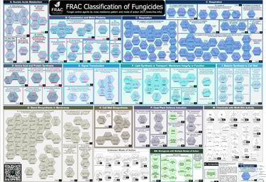 PESTICIDES INFOGRAPHIES CARTES