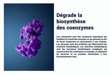 PESTICIDES DEGRADE BIOSYNTHÈSE DES COENZYMES
