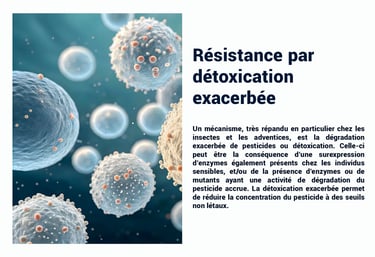 PESTICIDE RÉSISTANCE CONTOURNEMENT