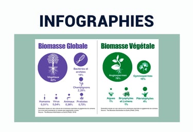 PESTICIDES BIODIVERSITÉ EXTINCTION MASSE INFOGRAPHIES