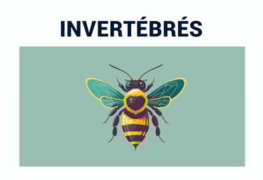 PESTICIDES BIODIVERSITÉ EXTINCTION MASSE INSECTES VER DE TERRE