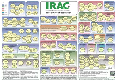 PESTICIDES INFOGRAPHIES CARTES