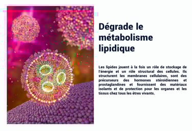 PESTICIDES DEGRADE METABOLIME LIPIDIQUE