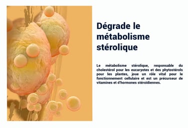 PESTICIDES DEGRADE METABOLIME STÉROLIQUE