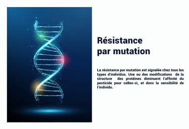 PESTICIDES RÉSISTANCE MUTATION