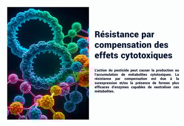 PESTICIDES RÉSISTANCE COMPENSATION EFFETS CYTOTOXIQUES