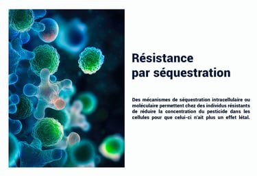 PESTICIDES RESISTANCE SÉQUESTRATION