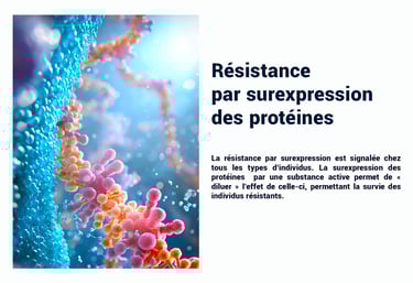 PESTICIDES RÉSISTANCE SUREXPRESSION PROTÉINES