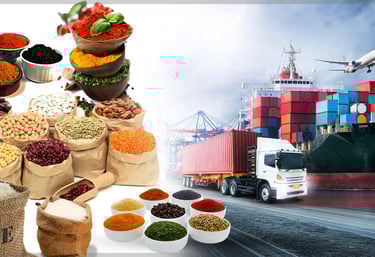 dubai importer