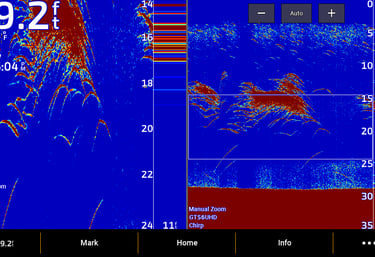 garmin 2D sonar image of baitfish in lake