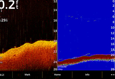 sonar 2D and down imaging