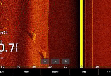 side imaging of rocks and shadow on Garmin