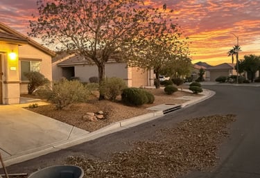 A pile of swept leaves on the curb next to a trash canister and rake after a yard cleanup.