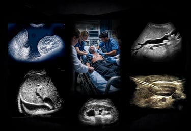 Emergency room physicians and  nurses treating a heart attack patient and  ultrasound images.