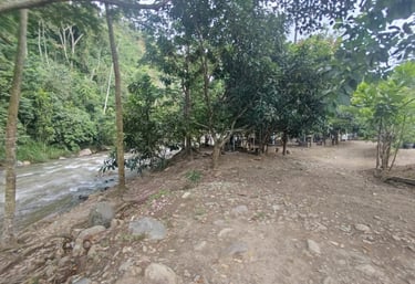 Naturaleza