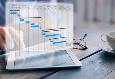 Project management using PMP project management professional methodologies