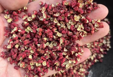 A person holding a handful of dried red Sichuan peppercorns above a large metal bowl.